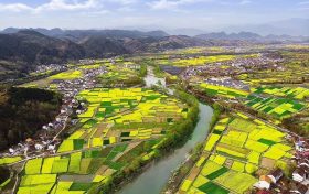 漢中油菜花節(jié)各縣區(qū)觀花線(xiàn)路公布！縮略圖