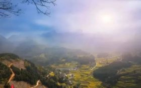 “云賞花”模式開啟，漢中最美春光都在這~縮略圖