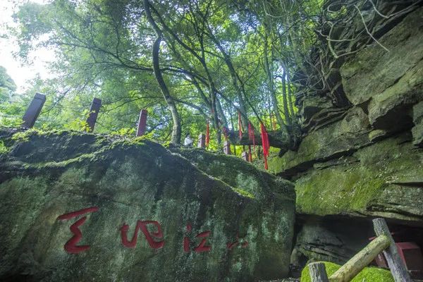 @寧強(qiáng)人，漢江源景區(qū)年卡福利來(lái)啦??！插圖15