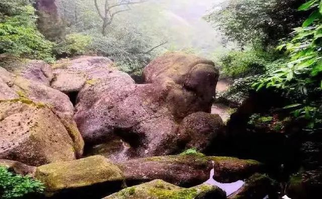 @寧強(qiáng)人，漢江源景區(qū)年卡福利來(lái)啦??！插圖16