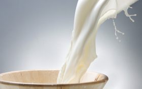 關(guān)于牛奶的十二個疑問縮略圖