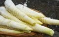 春天就要吃筍！這些選購和食用訣竅快來學(xué)一學(xué)縮略圖