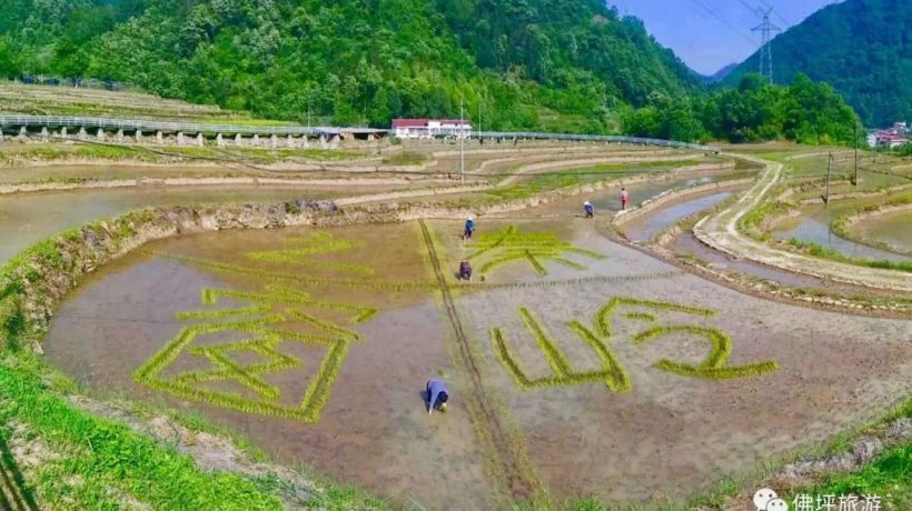 佛坪這些地方，讓你的春游不再單調(diào)！插圖17