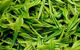 為什么說喝春茶沒必要“洗茶”？縮略圖