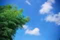直接入夏！漢中氣溫將突破30℃縮略圖