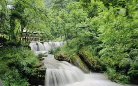 “5·12”國(guó)際護(hù)士節(jié)，免費(fèi)入園！縮略圖
