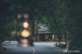 闖進(jìn)留壩秘境森林，過22℃的夏天縮略圖