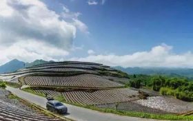在南鄭，這條“紅色交通線”串起川陜鄉(xiāng)親美好新生活縮略圖