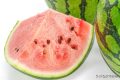 一口8400個(gè)細(xì)菌？你是合格的夏日“吃瓜群眾”嗎？縮略圖