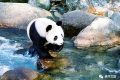 全國(guó)首家！開(kāi)工！縮略圖