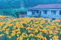 文旅行業(yè)新添兩個“新職業(yè)”！縮略圖