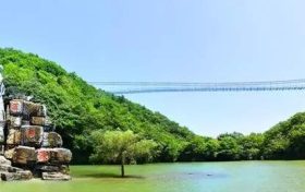 祝賀！漢中這幾個(gè)縣被省政府通報(bào)表彰縮略圖