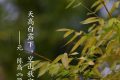 今日白露，勿忘添衣縮略圖