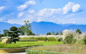 期待值拉滿！漢臺秋天的十種浪漫打開方式→縮略圖