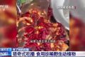 流量至上催生獵奇式吃播 多管齊下如何剎住“吃奇”之風？縮略圖