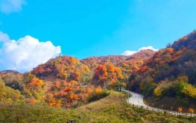 看紅葉 · 過羌年，免費(fèi)游漢江源縮略圖