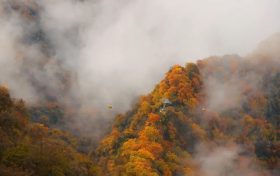 霜降 | 天上寒霜降，人間秋色深縮略圖