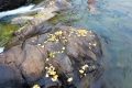 未來三天陜西降水、吹風(fēng)持續(xù) 清晨易出現(xiàn)大霧縮略圖