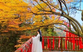 令人陶醉，心之向往！邂逅漢江源秋日調(diào)色盤縮略圖