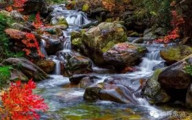 花開(kāi)千樹(shù)“層林盡染”，佛坪秋景大賞~縮略圖