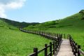 來(lái)留壩，我“氧”你！ 紫柏山負(fù)氧離子含量超國(guó)際標(biāo)準(zhǔn)13倍縮略圖