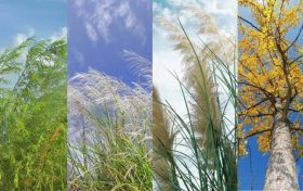 壁紙福利！讓漢臺(tái)秋日美景住進(jìn)你的手機(jī)里→縮略圖