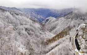 你愿意和我來佛坪邂逅冬日里第一場雪嗎縮略圖