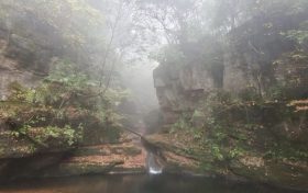 仙霧繚繞，邂逅一場浪漫之旅！縮略圖