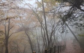 仙霧繚繞，如夢如幻！縮略圖