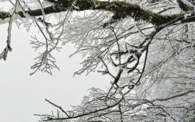 云賞龍頭山入冬初雪！霧凇奇觀太美啦！縮略圖