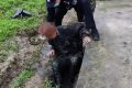 一張購物小票，找到走失老人的回家路縮略圖