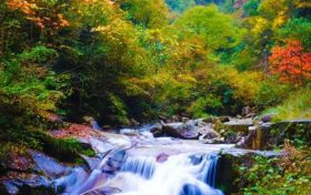 洋縣長(zhǎng)青華陽景區(qū)恢復(fù)開園公告縮略圖
