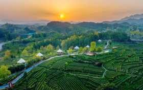 喜報(bào)！漢中市3縣獲第六批國家生態(tài)文明建設(shè)示范區(qū)和“兩山”基地命名！縮略圖