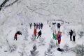 歲暮天寒 風(fēng)雪至歸，快來漢江源一睹冬雪風(fēng)采縮略圖