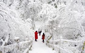 漢江源邀您裹握風雪，暢意起行縮略圖