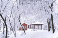 相約漢江源，共赴冰雪世界縮略圖