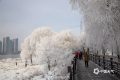 明天16時29分，正式進(jìn)入……縮略圖