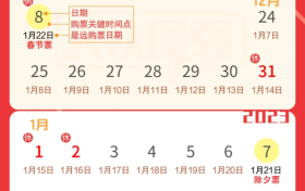 還有不到20天就過年了！返鄉(xiāng)出游這些要了解縮略圖
