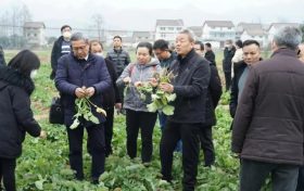 漢中這項技術全國領先！產(chǎn)品在全國14個省市推廣→縮略圖