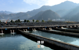 點贊！佛坪這一項目入國家農(nóng)業(yè)標準化示范區(qū)項目→縮略圖