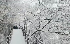 下雪了！漢中好多地方下雪了！縮略圖