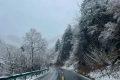 春雪別冬，觸處花開！縮略圖