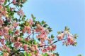 升溫！升溫！漢中向30℃發(fā)起進(jìn)擊！縮略圖