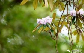 春游前，這份急救指南請(qǐng)先收好！縮略圖