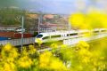 出行更方便！漢中、寧強(qiáng)南往返西安北加開多趟列車縮略圖