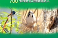 野豬正式調(diào)出“三有”名錄！專(zhuān)家：不代表可以隨意捕殺縮略圖