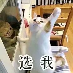 快來隨手拍城固，贏2000元大獎！