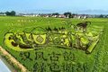 喜報！城固入選國家級創(chuàng)建單位名單縮略圖
