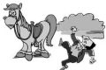 騎馬游玩致游客摔傷，誰來擔(dān)責(zé)？縮略圖
