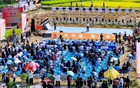 慶豐收，促和美 | 略陽縣第六屆中國農(nóng)民豐收節(jié)開幕縮略圖